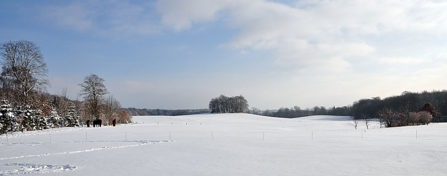 hjerterhøj vinter